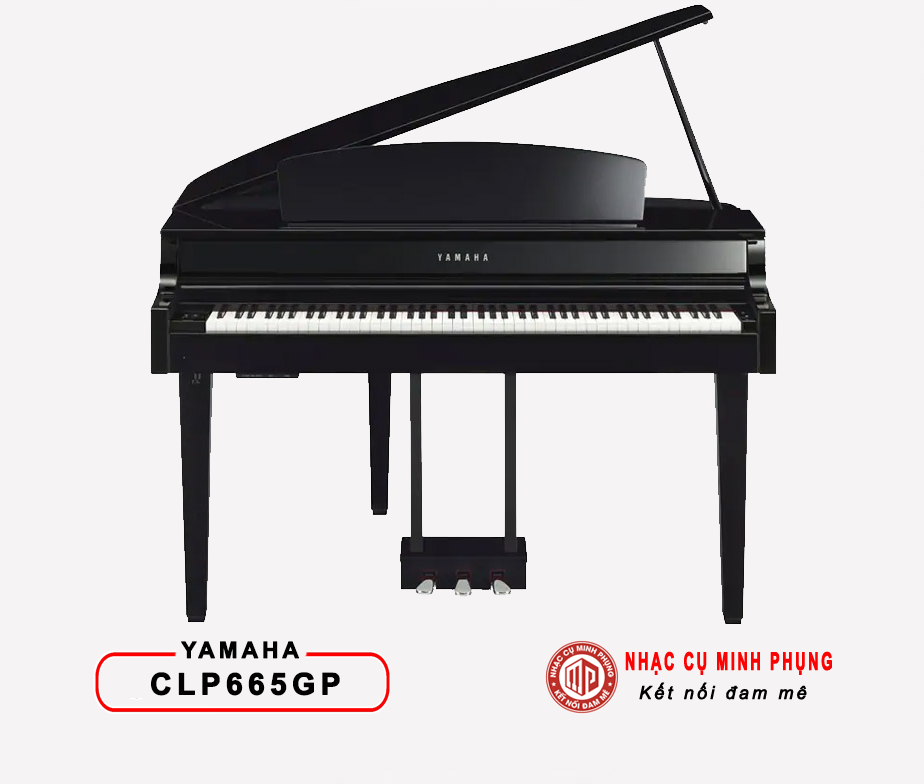 Đàn Piano Điện Yamaha CLP 665GP