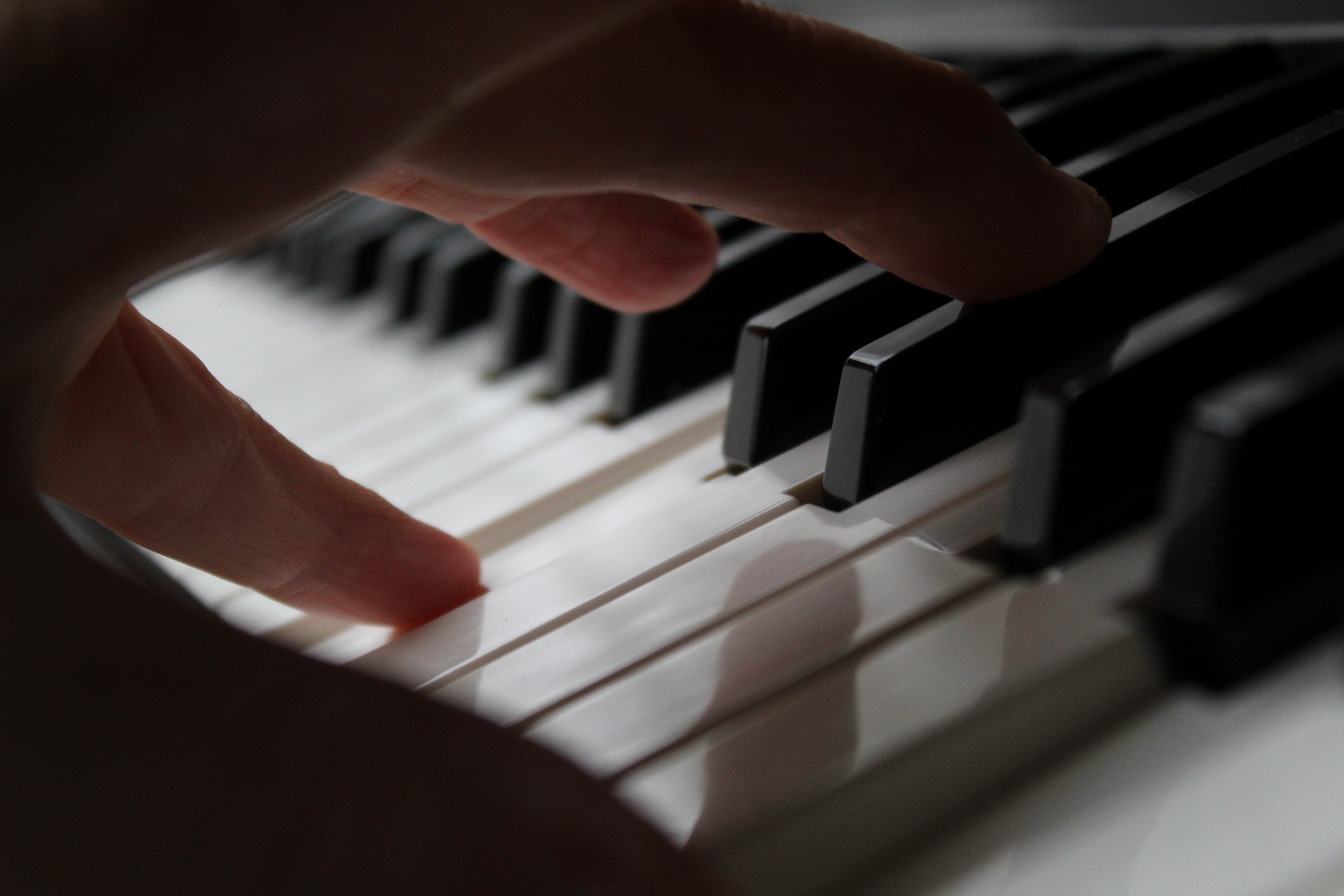 Đàn Piano điện Kurtzman: Có thể bạn chưa biết