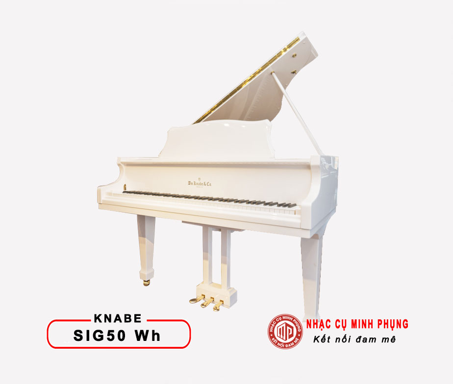 Các loại đàn Piano cơ phổ biến hiện nay