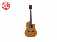 Đặc điểm nổi bật của đàn guitar bass