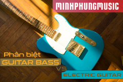 Phân biệt đàn guitar bass và đàn guitar điện