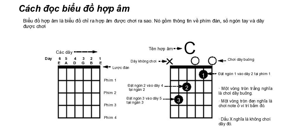 Tổng hợp 10 hợp âm guitar cơ bản nhất 