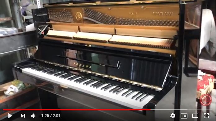 KHÁM PHÁ KHO ĐÀN PIANO CƠ LỚN NHẤT NHÌ TP HCM.....VÀ CÁI KẾT!!!