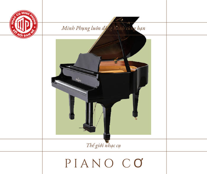 Top những cây piano cơ đáng mua nhất