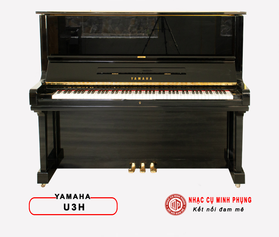 Đàn Piano Điện Kurtzman K700 