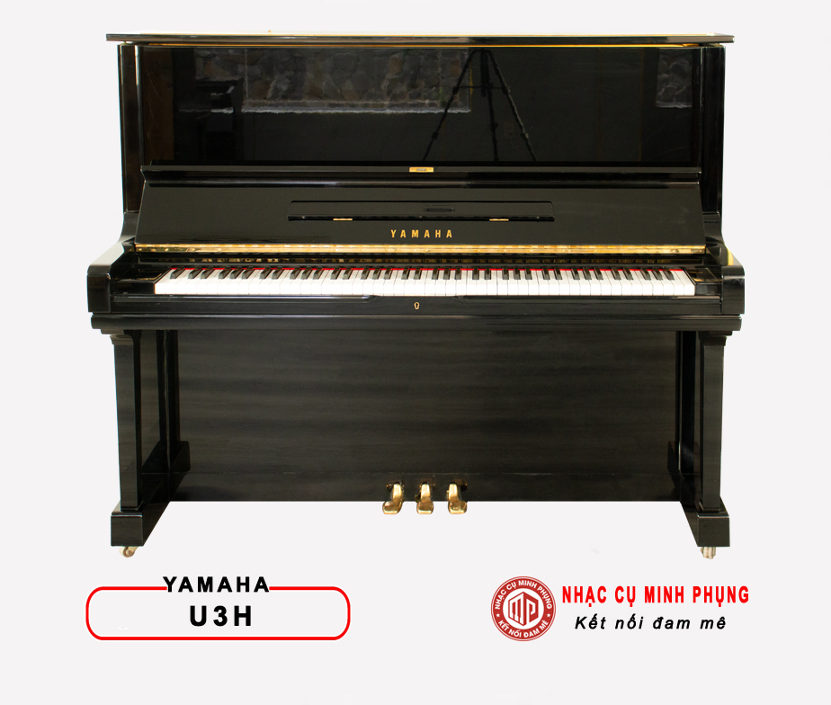 Đàn Piano Điện Roland RP102